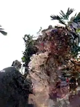 Bella-222's cam snapshot