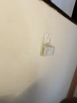 queennapal live sex cam