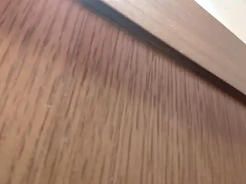 hautevoltige's cam snapshot