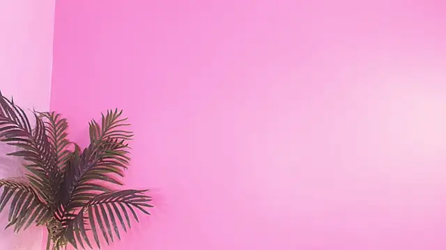 Lana_ortega's cam snapshot