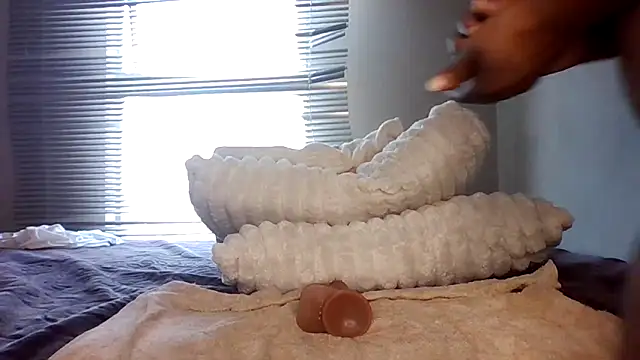 Arrbain's cam snapshot