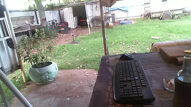 herbie010666 live sex cam