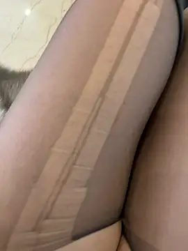 petoys's cam snapshot