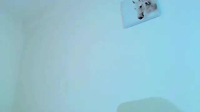 king_falconer's cam snapshot