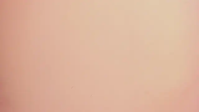 lia_quinn's cam snapshot