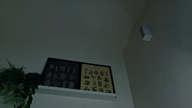 ParisFox_'s cam snapshot