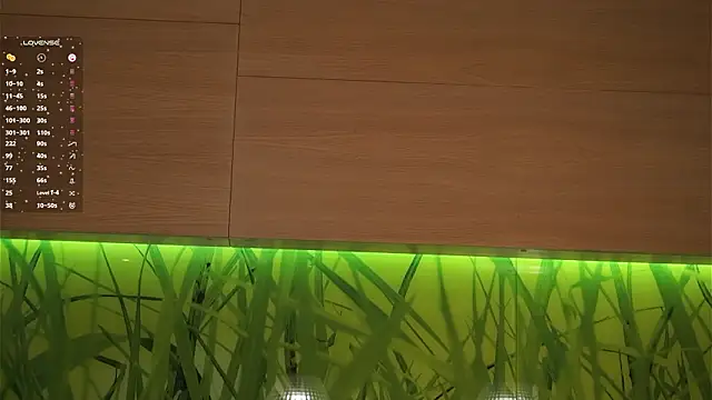 ElmaSmallman live sex cam