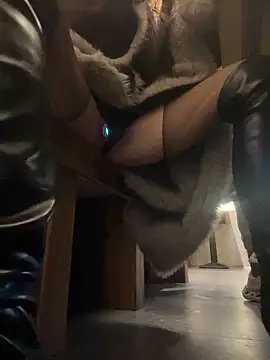 petoys's cam snapshot