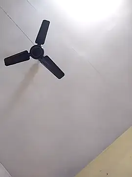 Anki-doll's cam snapshot