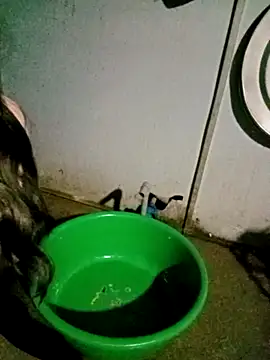 Happy_sweet1's cam snapshot