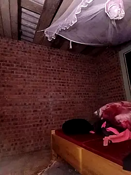 sowbibi's cam snapshot