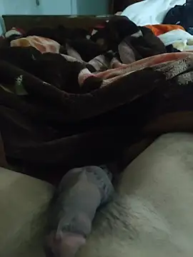 amirMohamed58 live sex cam