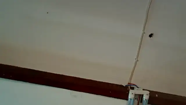 BlackBunnyxoxo's cam snapshot