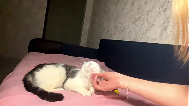 ViolaFaa's cam snapshot