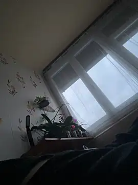 csikar's cam snapshot