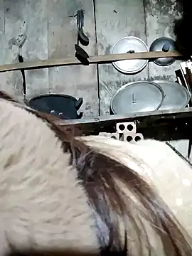 out-lustt's cam snapshot