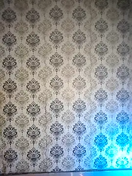 Punjabi_playboy live sex cam