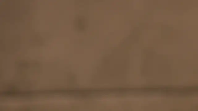 BustyMadison live sex cam