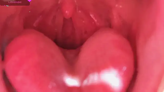 LT-333's cam snapshot