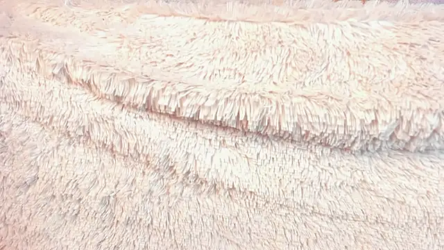 Thalia__Rose's cam snapshot