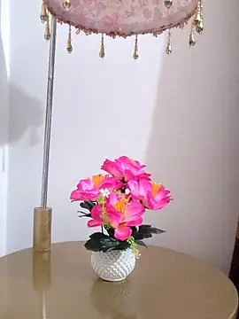 Tanha18 live sex cam