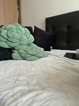 Nicollemays's cam snapshot