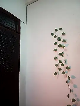 Landkipyasibhabhi's cam snapshot