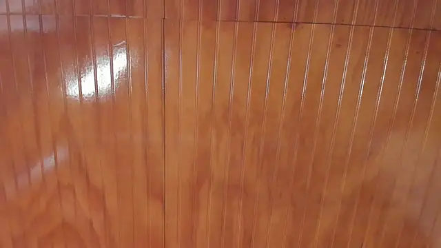 Manson_and_Zoe's cam snapshot