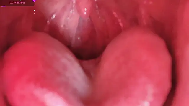 LT-333's cam snapshot