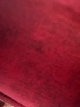 dereckgreen's cam snapshot