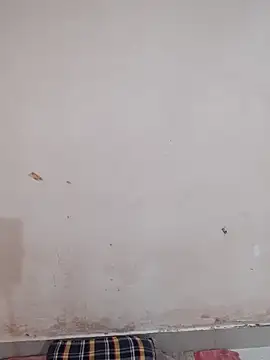 Asha_devi90's cam snapshot