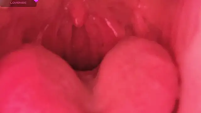 LT-333's cam snapshot