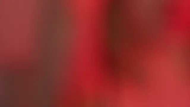 StacyEvances's cam snapshot