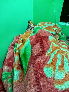 Paidnehu's cam snapshot