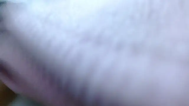 luna_hawks's cam snapshot