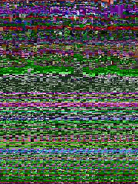 pitsho51 live sex cam