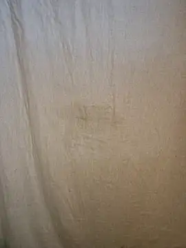 Diyab's cam snapshot