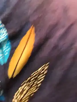 paro22_sex's cam snapshot