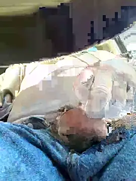 yolanda339 live sex cam