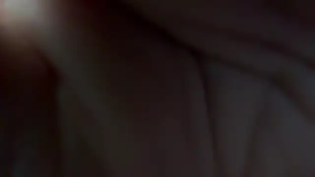 AnnualSunrise live sex cam