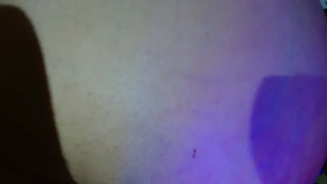 luna_hawks's cam snapshot