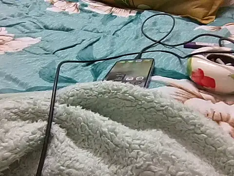 Arushridelong's cam snapshot