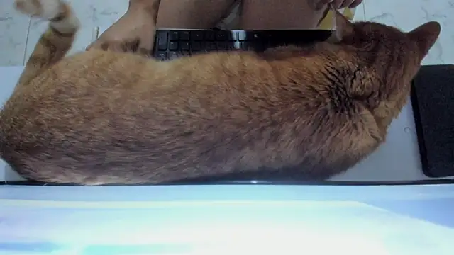 _Selene_1111 live sex cam