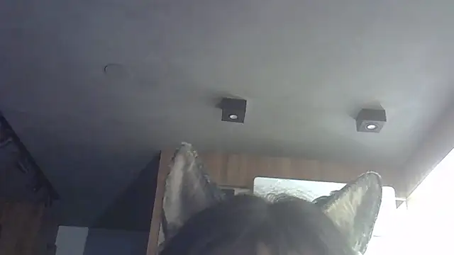 SkinnyKitten live sex cam