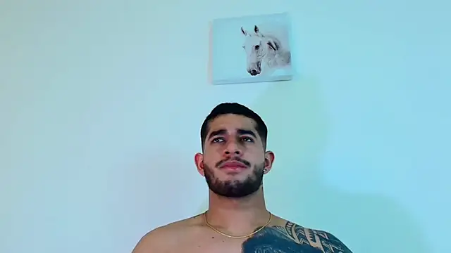 king_falconer's cam snapshot