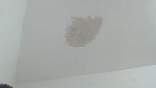 brant_garciabbc live sex cam