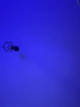 KemberlyEll's cam snapshot