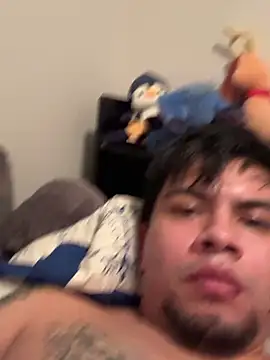 Sualazar's cam snapshot