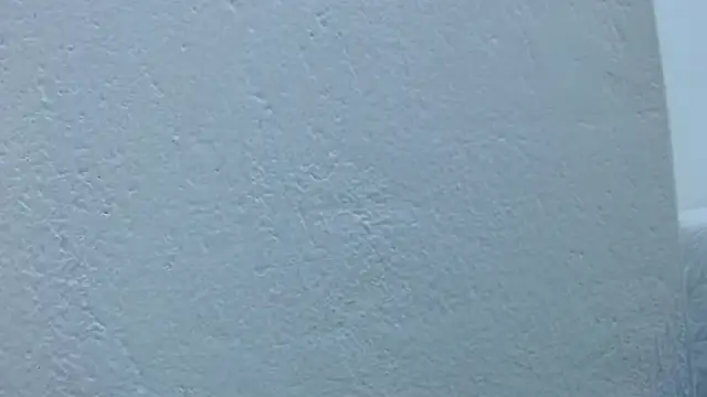 carolina_zabala_19's cam snapshot