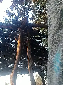 Na_shreya live sex cam